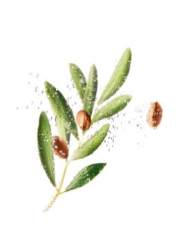 BIPHASIC MICELLAR NATURAL INGREDIENTS